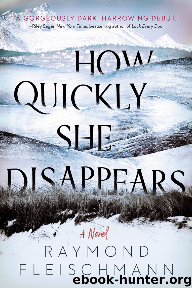 How Quickly She Disappears by Raymond Fleischmann