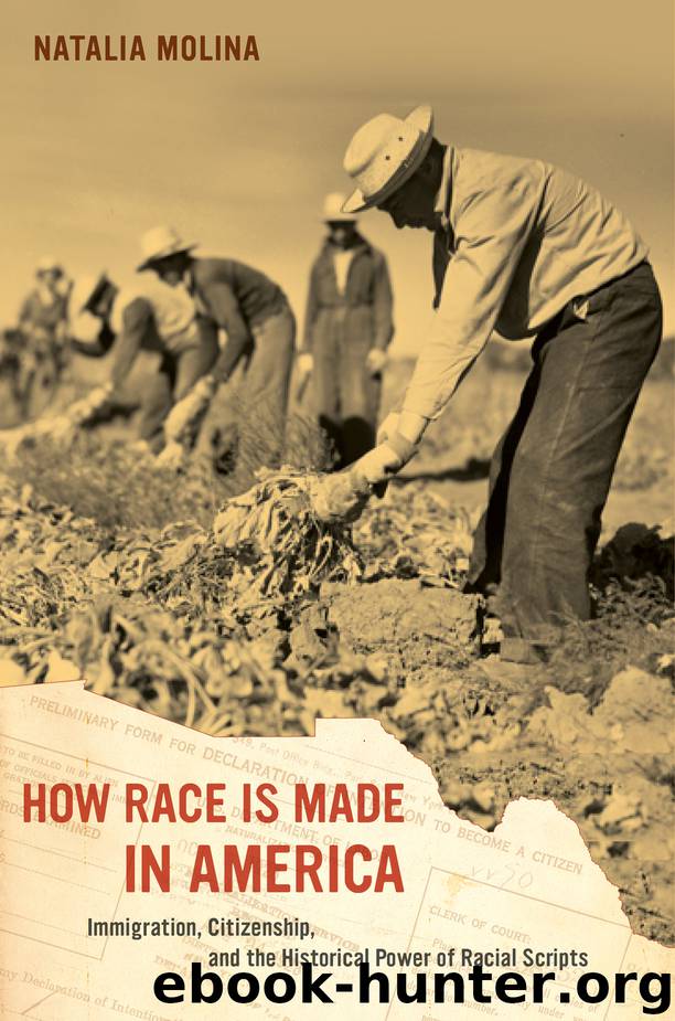 How Race Is Made in America by Natalia Molina