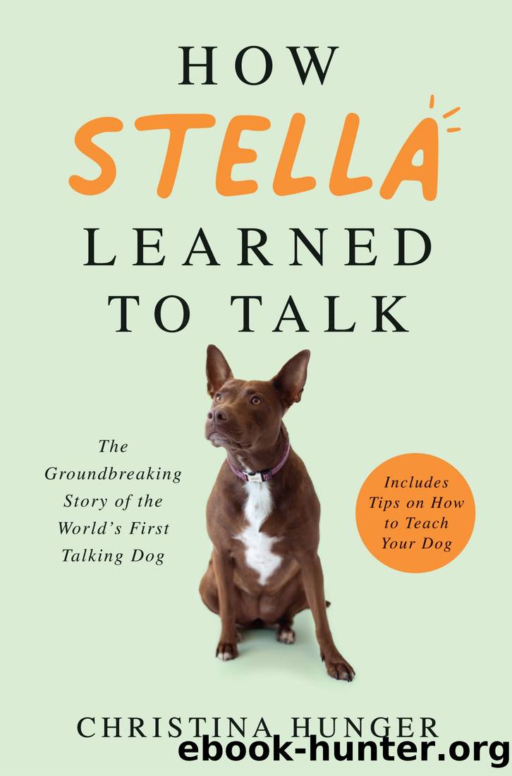 How Stella Learned to Talk by Christina Hunger