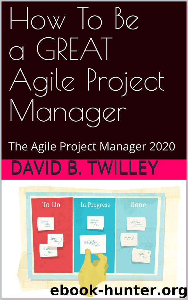How To Be A Great Agile Project Manager: The Agile Project Manager 2020 by David B. Twilley