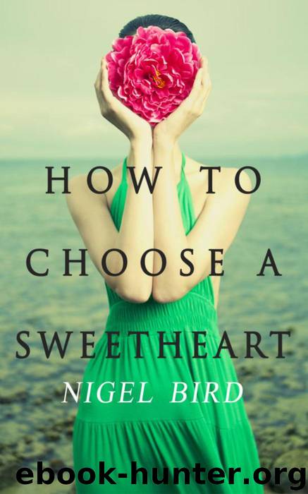 How To Choose a Sweetheart by Nigel Bird