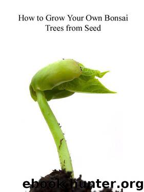 How To Grow Your Own Bonsai Trees From Seed by Bruce Bullock
