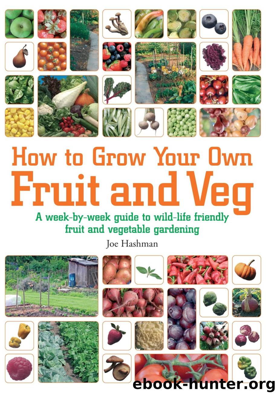 How To Grow Your Own Fruit and Veg by Author