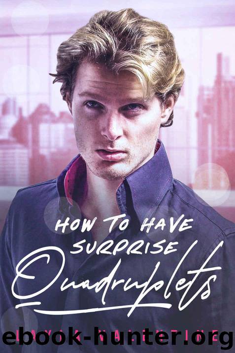 How To Have Surprise Quadruplets (How To... Book 2) by Valentine Layla