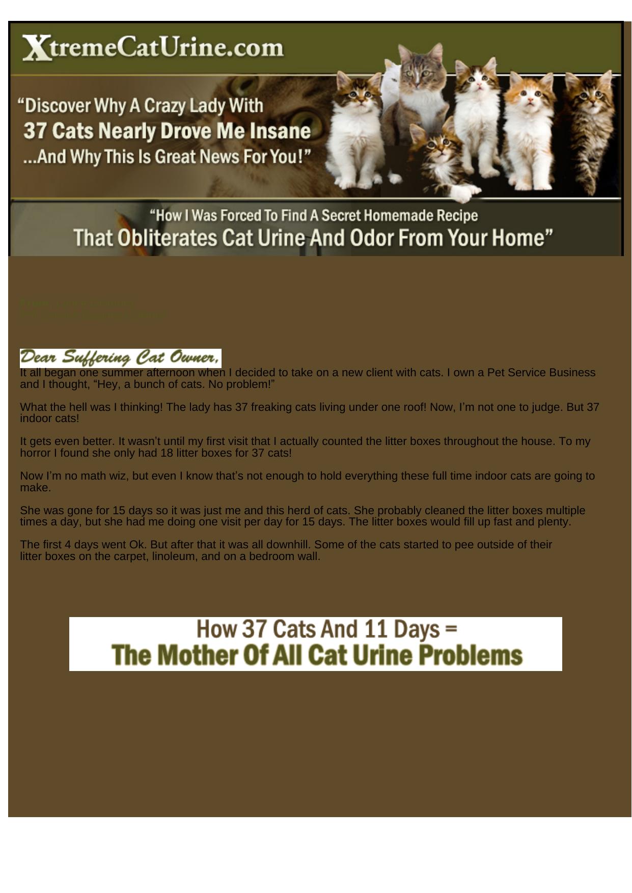 How To Make Your Own Cat Urine & Odor Remover. by Best of Kuszter's Collection