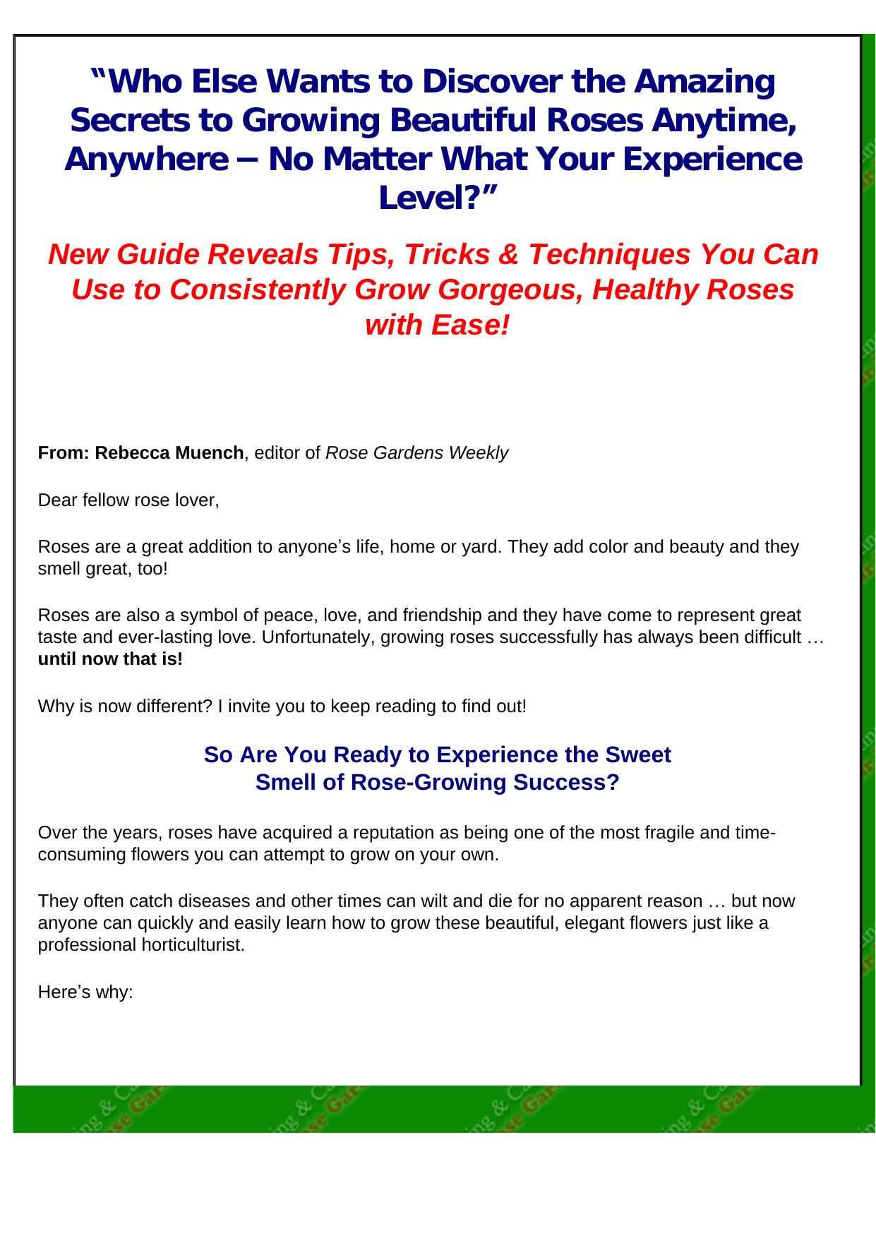 How To Plant & Care For Your Rose Garden. by Best of Kuszter's Collection