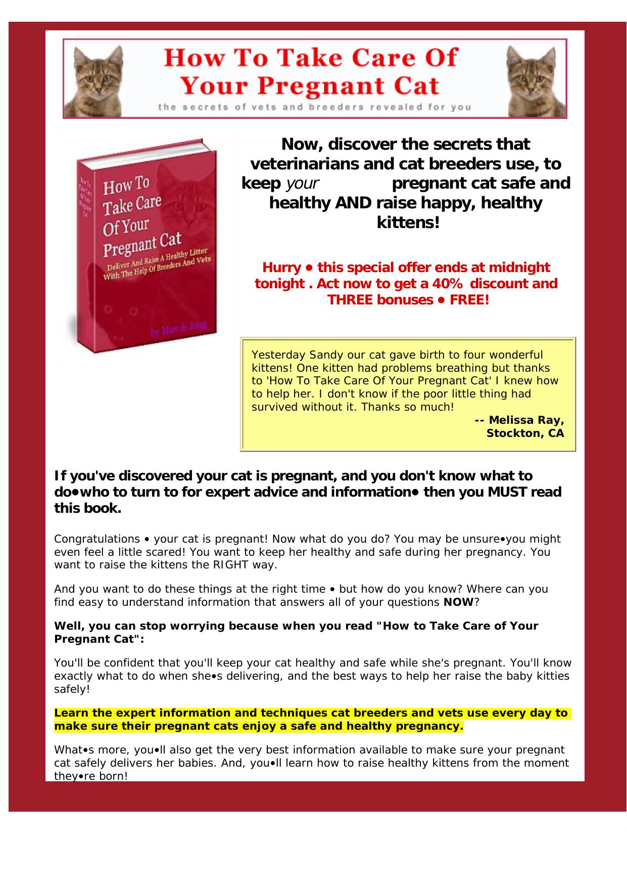 How To Take Care Of Your Pregnant Cat. by Best of Kuszter's Collection