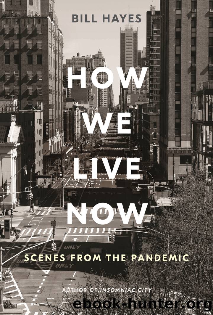 How We Live Now by Bill Hayes