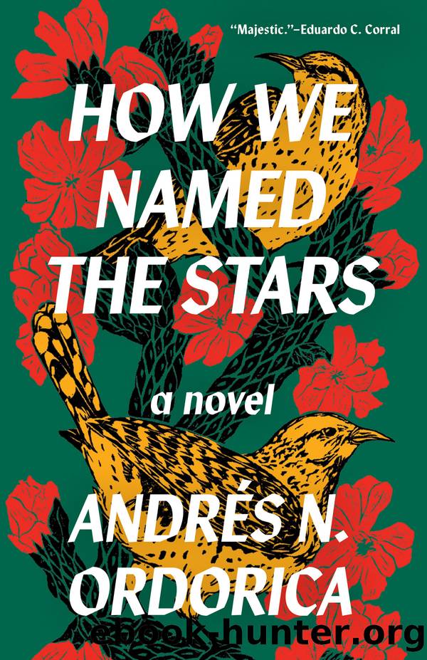 How We Named the Stars by Andrés N. Ordorica