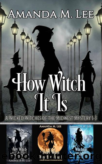 How Witch It Is: Wicked Witches of the Midwest Books 1-3 (Wicked Witches of the Midwest Box-Set) by Amanda M. Lee