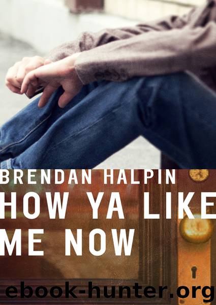 How Ya Like Me Now by Brendan Halpin