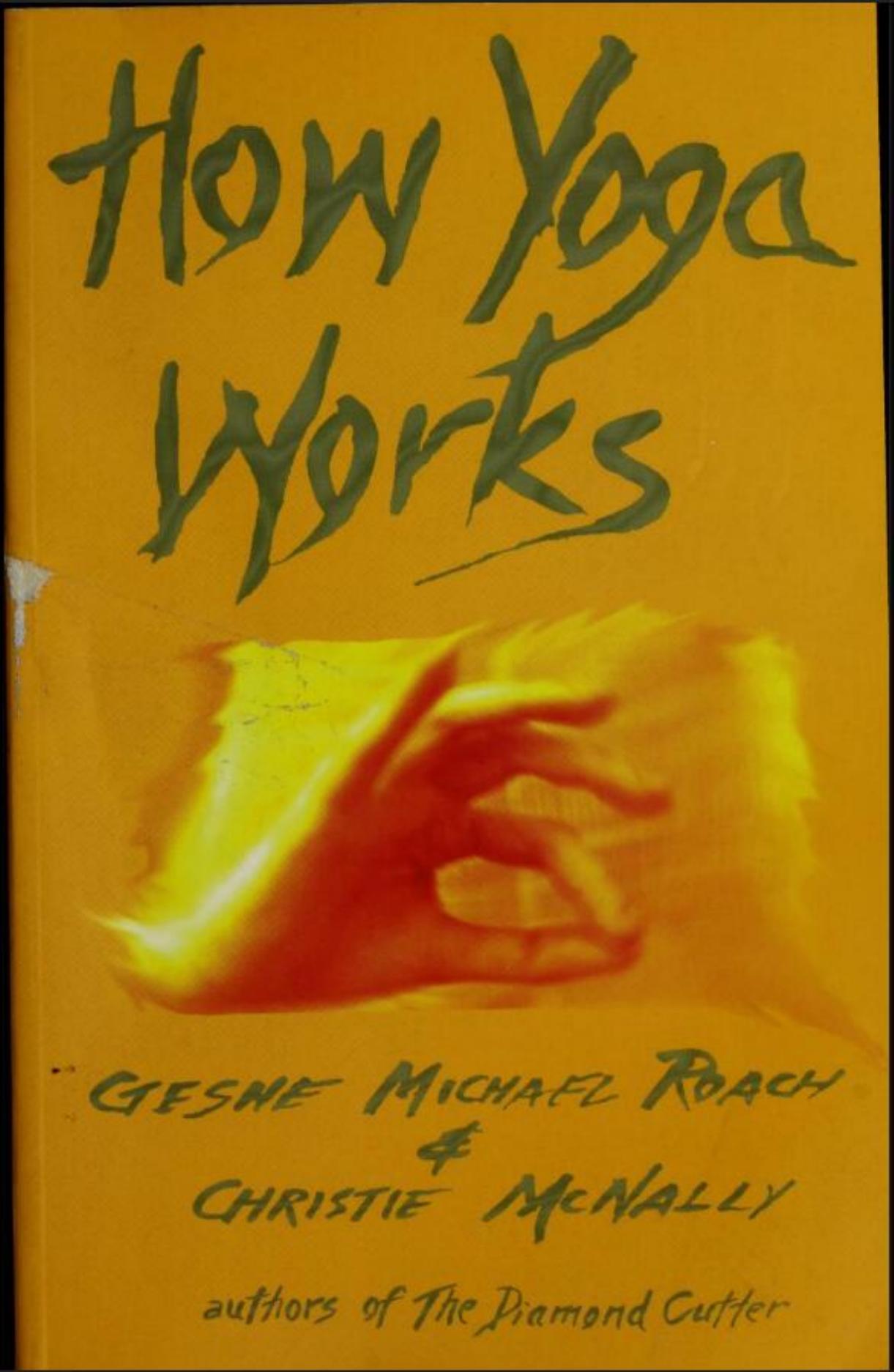 How Yoga Works by Michael Roach Christie McNally