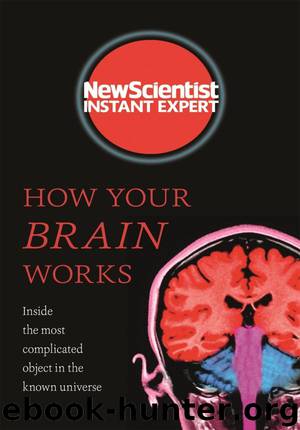 How Your Brain Works: Inside the most complicated object in the known universe (New Scientist Instant Expert) by New Scientist