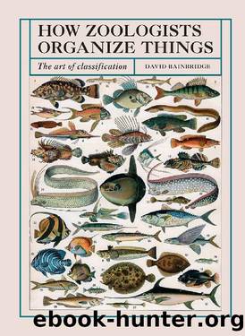 How Zoologists Organize Things by David Bainbridge