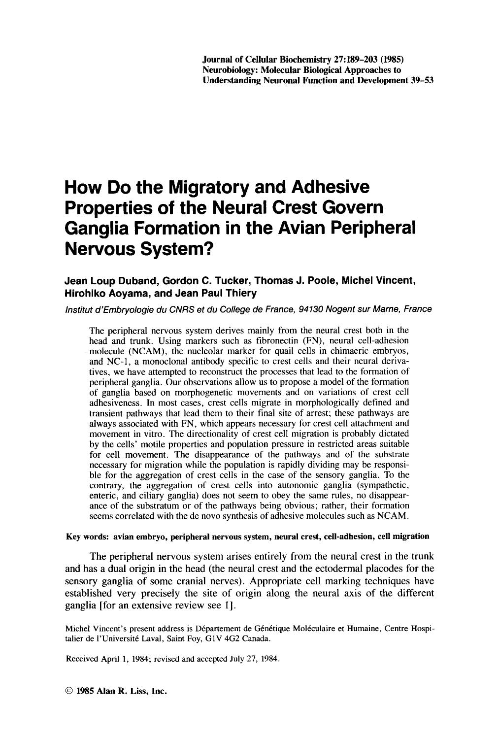 How do the migratory and adhesive properties of the neural crest govern ganglia formation in the avian peripheral nervous system? by Unknown