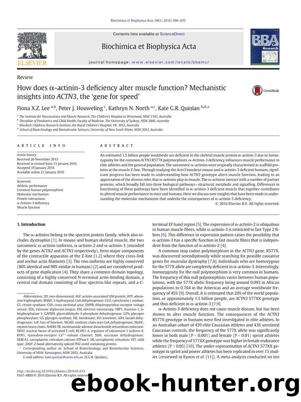 How does Î±-actinin-3 deficiency alter muscle function? Mechanistic insights into ACTN3, the âgene for speedâ by Fiona X.Z. Lee & Peter J. Houweling & Kathryn N. North & Kate G.R. Quinlan