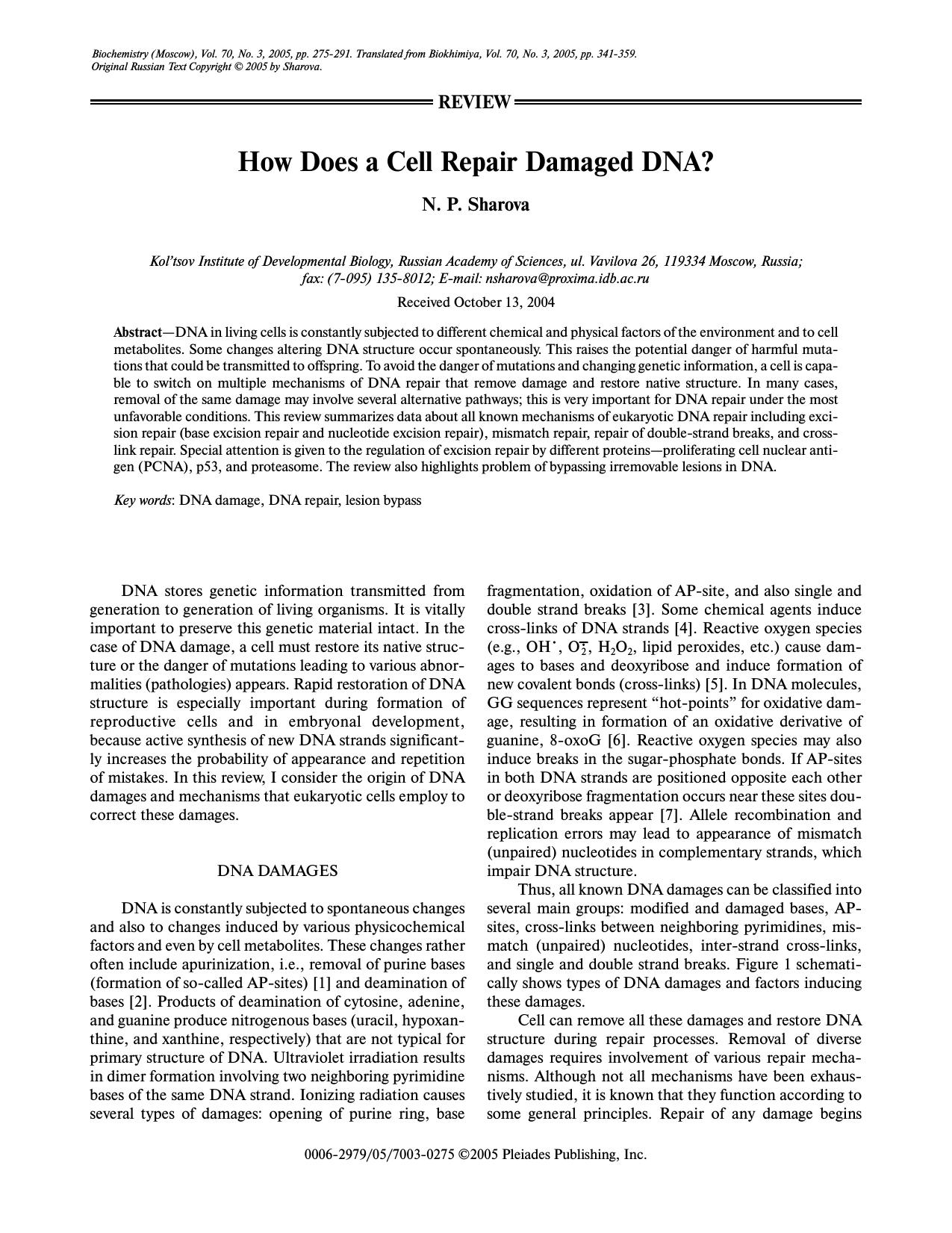 How does a cell repair damaged DNA? by Unknown