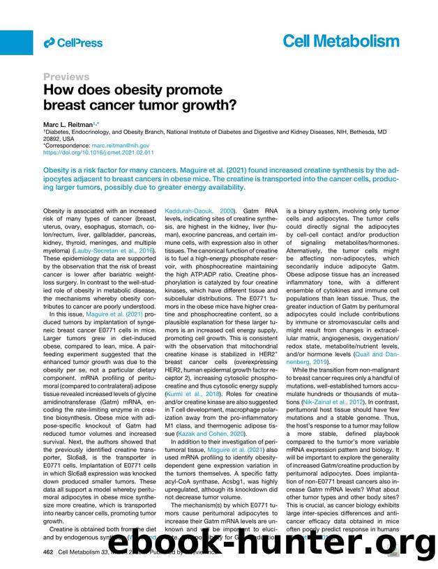 How does obesity promote breast cancer tumor growth? by Marc L. Reitman