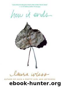 How it Ends by Laura Wiess