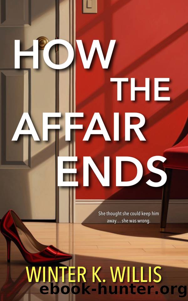 How the Affair Ends: An addictive psychological thriller by Winter K. Willis