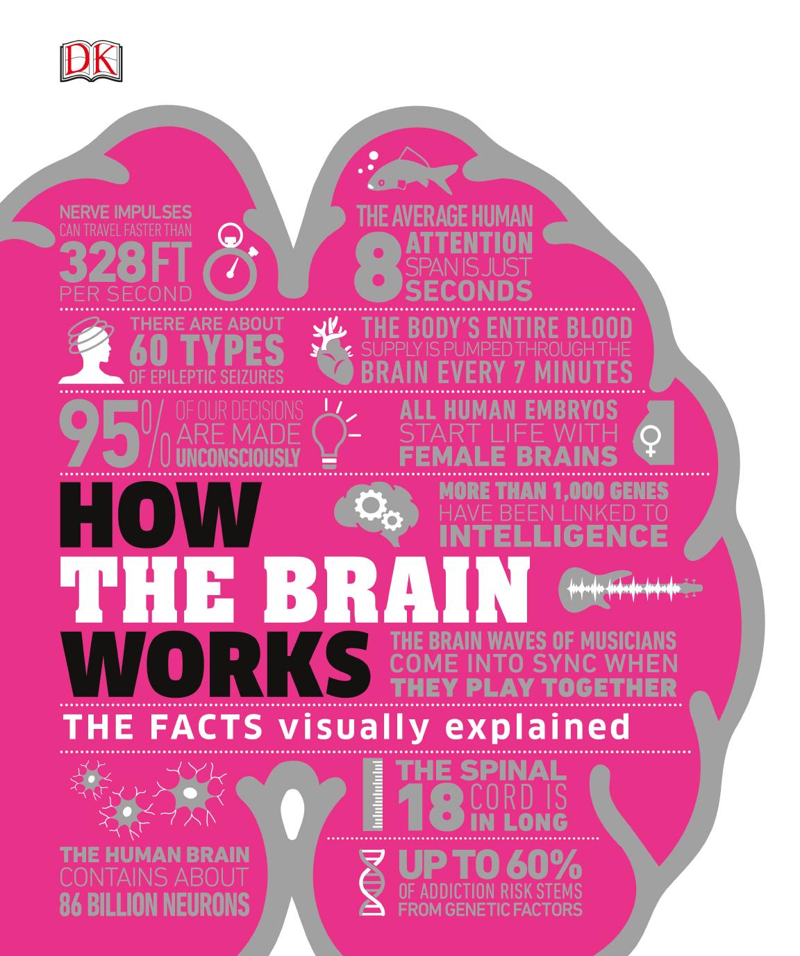 How the Brain Works: The Facts Visually Explained by DK