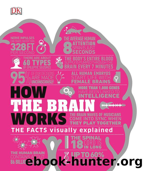 How the Brain Works: The Facts Visually Explained by Dorling Kindersley