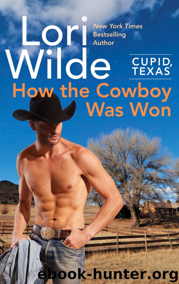 How the Cowboy Was Won by Lori Wilde