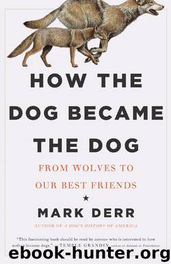 How the Dog Became the Dog: From Wolves to Our Best Friends by Mark Derr