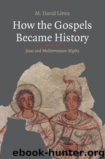 How the Gospels Became History by M. David Litwa;