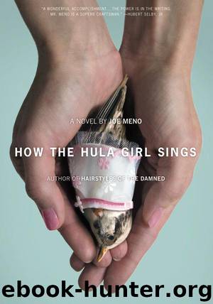 How the Hula Girl Sings by Joe Meno