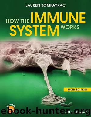 How the Immune System Works by Sompayrac Lauren;
