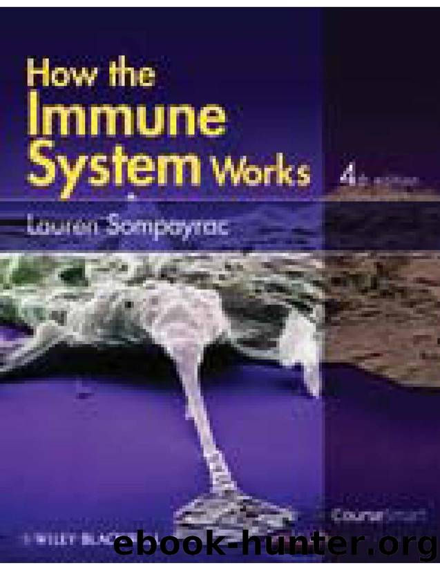 How the Immune System Works by Unknown