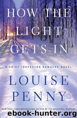 How the Light Gets In by Penny Louise