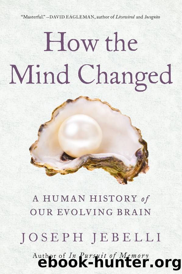How the Mind Changed by Joseph Jebelli