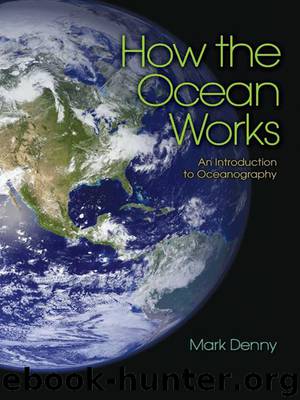 How the Ocean Works by Denny Mark;