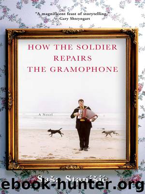 How the Soldier Repairs the Gramophone by Saša Stanišić
