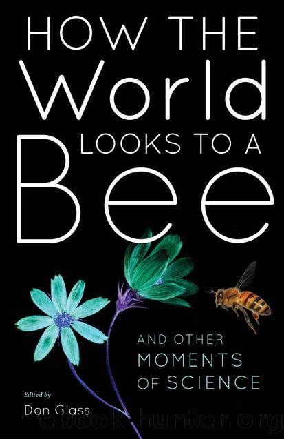 How the World Looks to a Bee by Don Glass;
