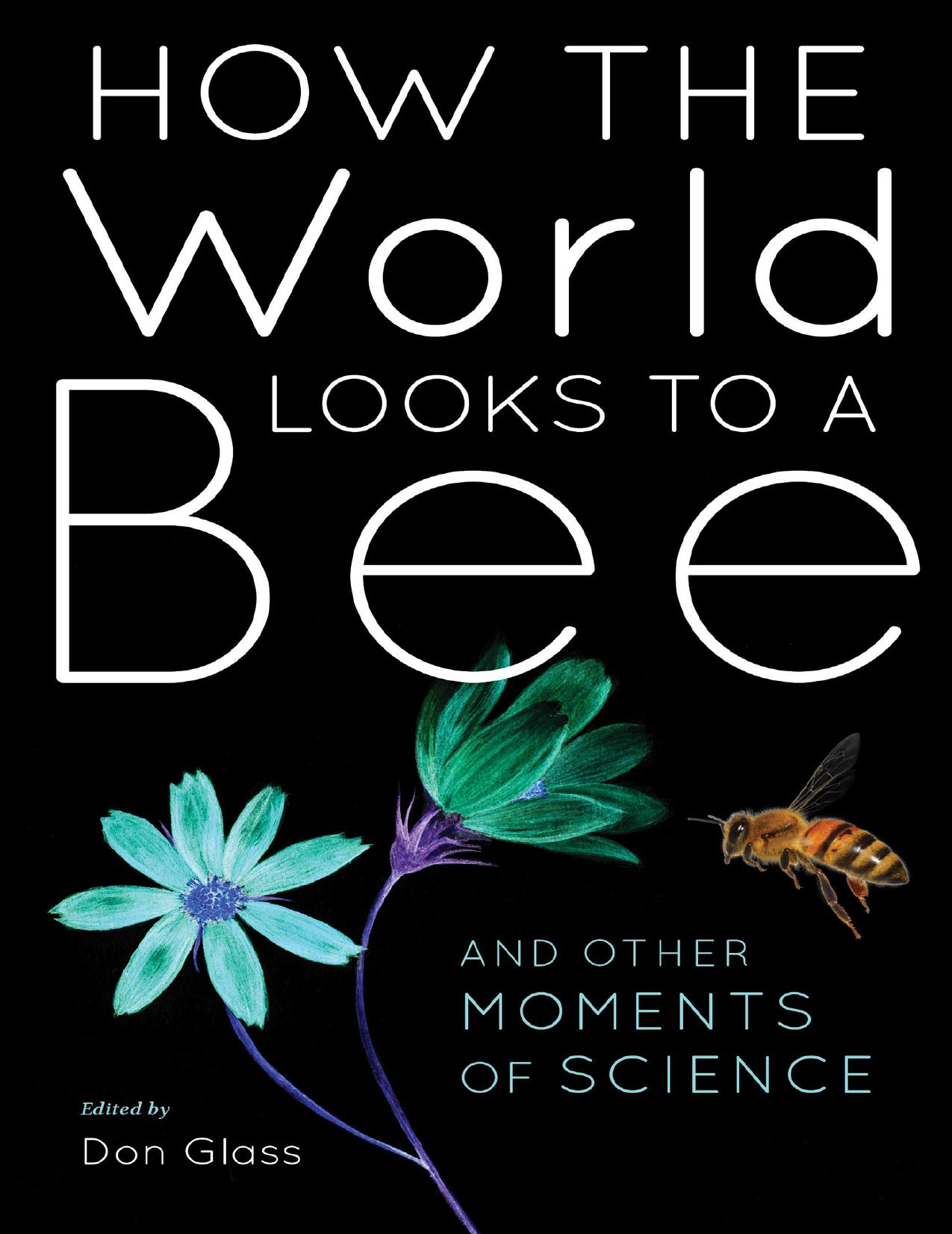 How the World Looks to a Bee by Don Glass