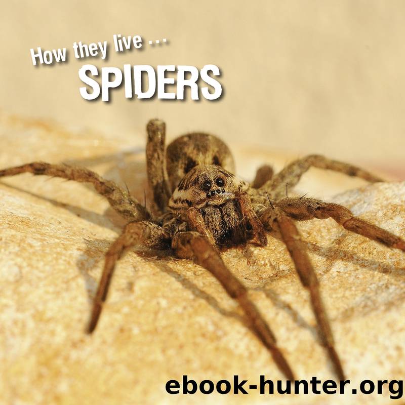 How they live... Spiders by David Withrington