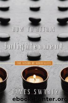 How to Attain Enlightenment: The Vision of Non-Duality by James Swartz