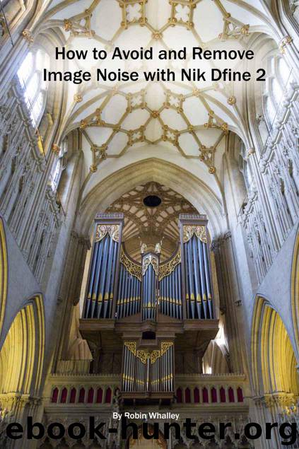 How to Avoid and Remove Image Noise with Nik Dfine 2 (The Lightweight Photographer Books) by Whalley Robin