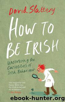How to Be Irish by David Slattery