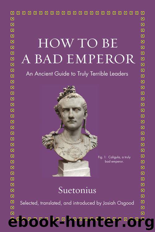 How to Be a Bad Emperor by Suetonius