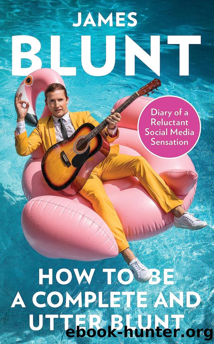 How to Be a Complete and Utter Blunt: Diary of a Reluctant Social Media Sensation by James Blunt