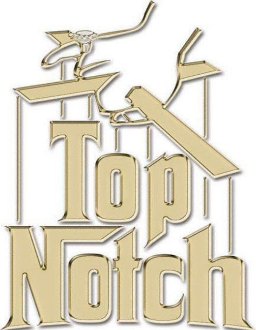How to Be a TopNotch Pro: The Truth about Porn, Prostitution, Escorting, & the Adult Business World in 2012 by Top Notch