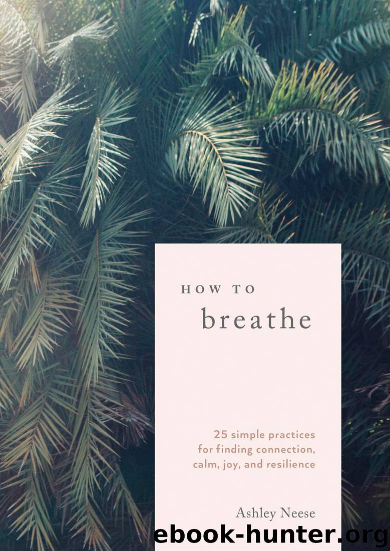 How to Breathe: 25 Simple Practices for Calm, Joy, and Resilience by Ashley Neese