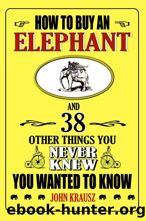 How to Buy an Elephant by John Krausz