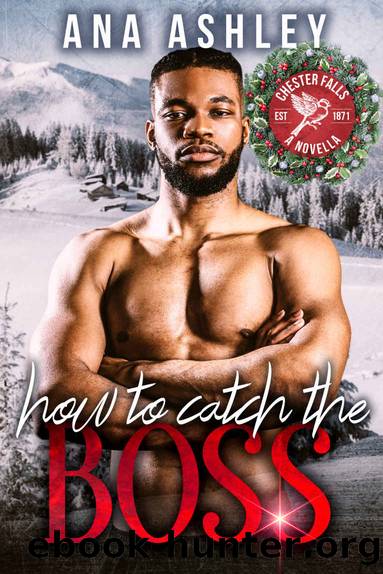 How to Catch the Boss: A brother's best friend Chester Falls Novella by Ana Ashley