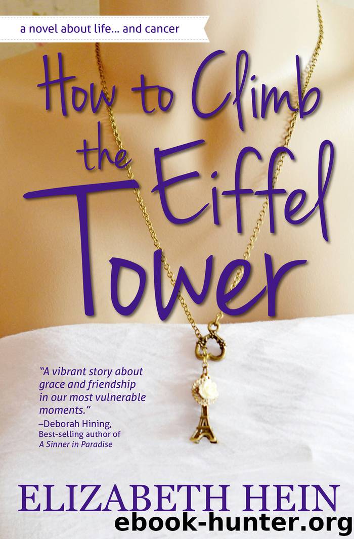 How to Climb the Eiffel Tower by Elizabeth Hein