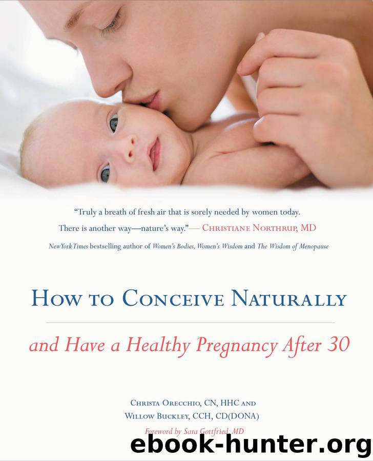 How to Conceive Naturally by Christa Orecchio